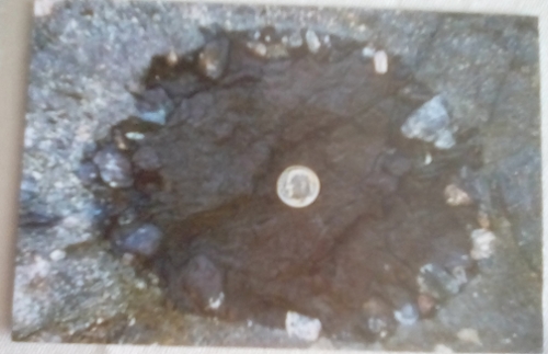 PETITION-Armored Mud Balls