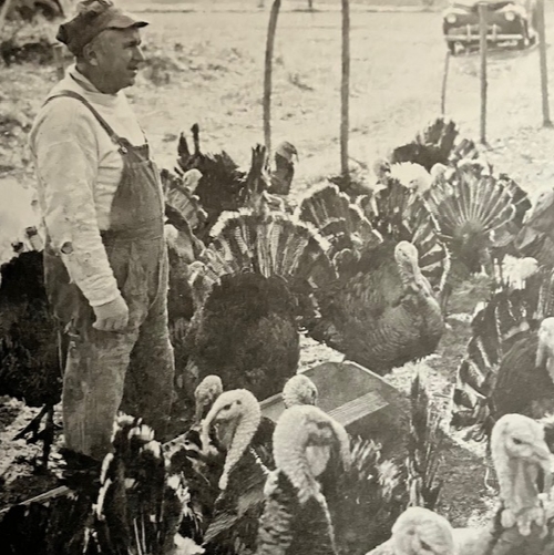 ARCHIVES-Franklin Turkey Farm