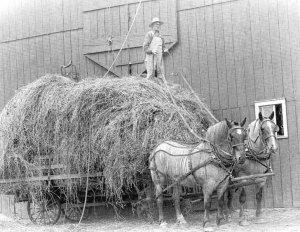 ARCHIVES-1885 Good Ol' Summertime